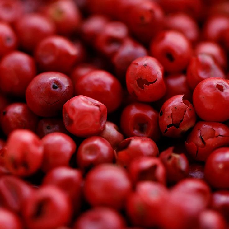Berry Wax — INCI : Rhus Verniciflua Peel Cera