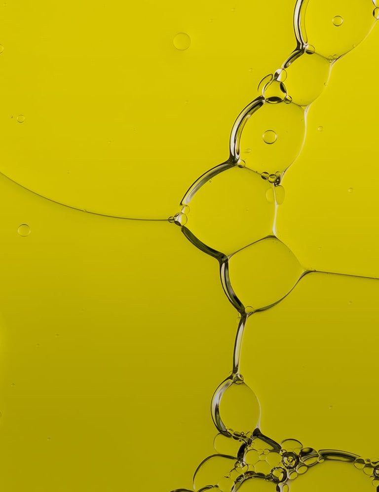 Refined Olive Oil — Olea europaea (huile raffinée)