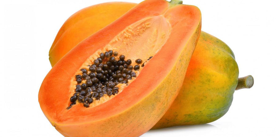 Papaya Oil — Carica papaya (macérat de graine)