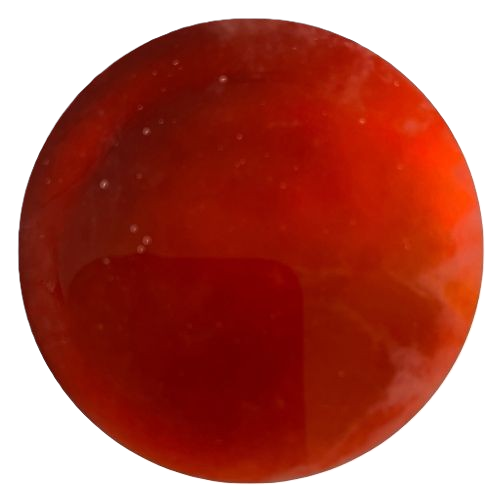 Fermented Dragon's Blood — Daemonorops Draco Extract
