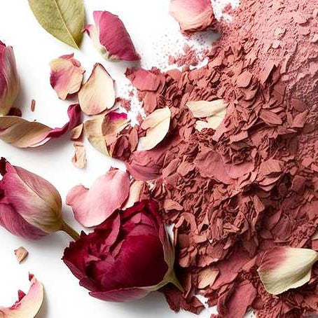 Rose de Damas