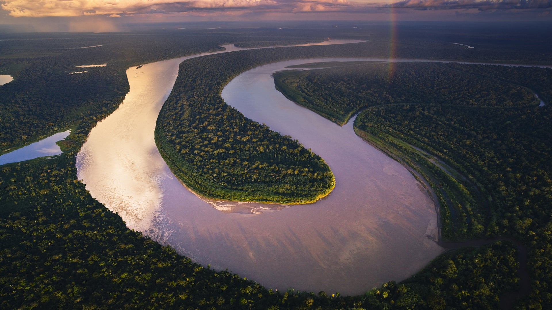 Forêt amazonienne — Jaina Paris